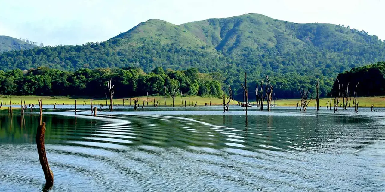 Thekkady